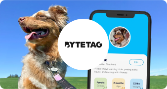ByteTag
